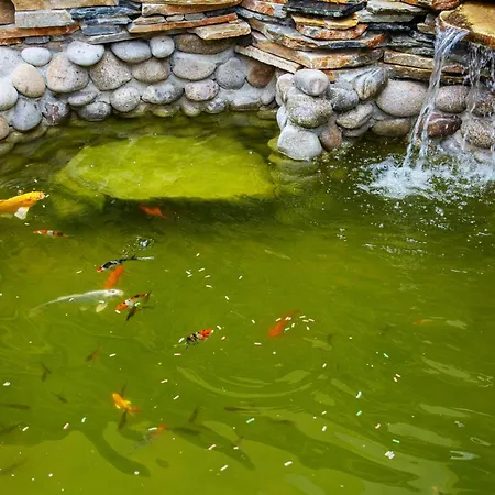 Tsb Roxy 酒店 阳光海滩