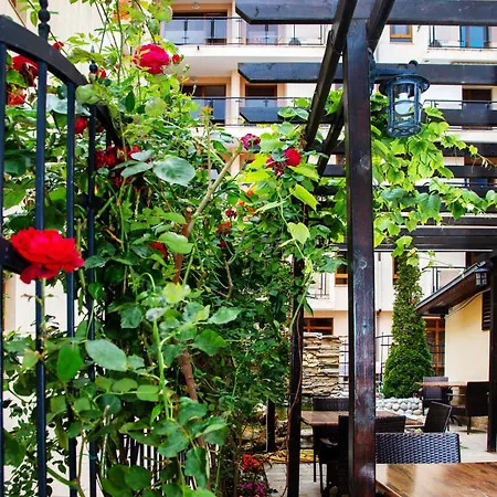 Tsb Roxy Słoneczny Brzeg