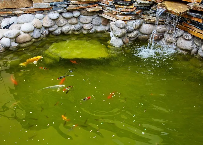 Tsb Roxy Hotel Slantchev Briag